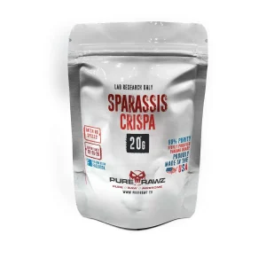 Sparassis Crispa